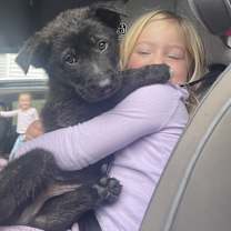 Thumbnail photo of Starling (Winter Litter) #3