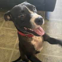 Thumbnail photo of Emma #1