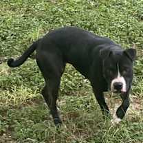 Thumbnail photo of Emma #2