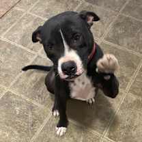 Thumbnail photo of Emma #3