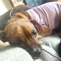 Thumbnail photo of Buttons #2