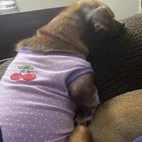 Thumbnail photo of Buttons #4