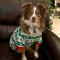 Thumbnail photo of Luna #1