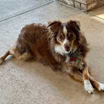 Thumbnail photo of Luna #3