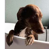 Thumbnail photo of Little Women: Meg #1