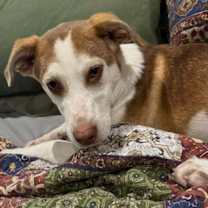 Thumbnail photo of Ethel #1