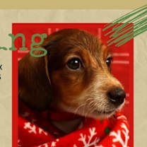 Thumbnail photo of Cushing #2