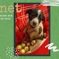 Thumbnail photo of Janet #1