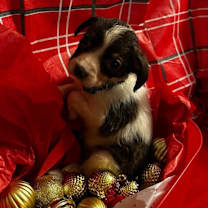 Thumbnail photo of Janet #4