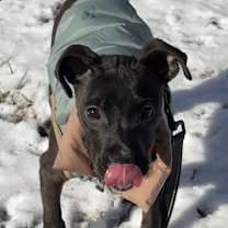 Thumbnail photo of Cleo #4