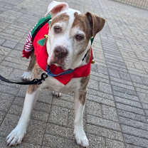 Thumbnail photo of James Barley #1