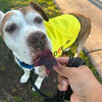 Thumbnail photo of James Barley #3