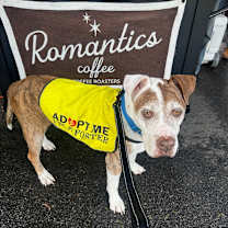 Thumbnail photo of James Barley #4