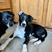 Thumbnail photo of Jethro #1