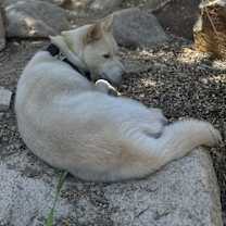 Thumbnail photo of Bolt #2