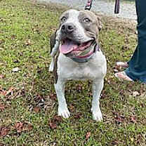 Thumbnail photo of Ducky #4