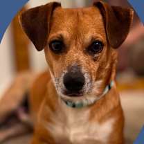 Thumbnail photo of Uncle Lewis #1