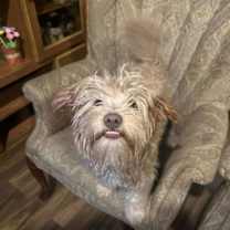 Thumbnail photo of Brit #3