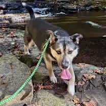 Thumbnail photo of Hudson #2