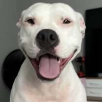 Thumbnail photo of Ace #1