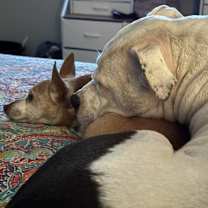 Thumbnail photo of Ace #3