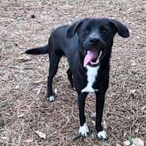 Thumbnail photo of Charlene #1