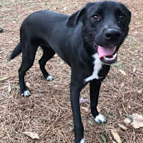 Thumbnail photo of Charlene #2