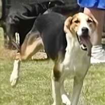 Thumbnail photo of Nathan #1