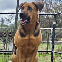 Thumbnail photo of AJ #1