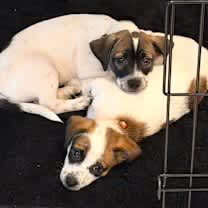 Thumbnail photo of Mystery #2