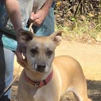 Thumbnail photo of LuLu #2