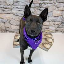 Thumbnail photo of Ritzy #2