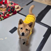 Thumbnail photo of Daeun #4