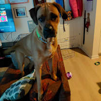 Thumbnail photo of Max #1