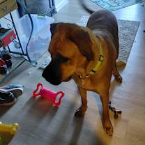 Thumbnail photo of Max #2