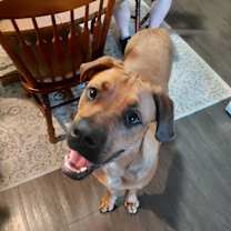 Thumbnail photo of Max #3