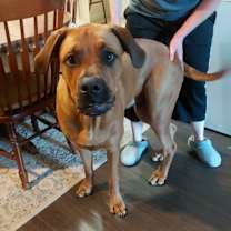 Thumbnail photo of Max #4