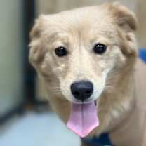 Thumbnail photo of Jiyoung #1