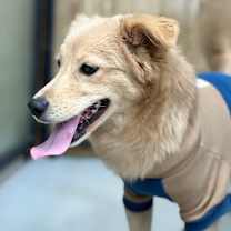 Thumbnail photo of Jiyoung #2