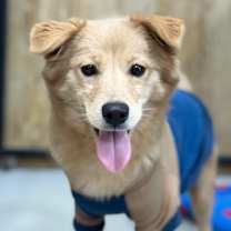 Thumbnail photo of Jiyoung #3