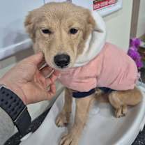 Thumbnail photo of Jiyoung #4