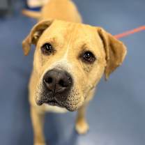 Thumbnail photo of Powerade  #1