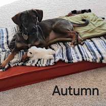 Thumbnail photo of Autumn G #2