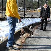 Thumbnail photo of DA 12 Dollar #4