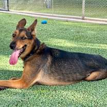 Thumbnail photo of Atlas #2