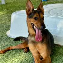 Thumbnail photo of Atlas #3