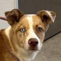 Thumbnail photo of Cnote #1