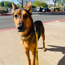 Thumbnail photo of Atlas #4