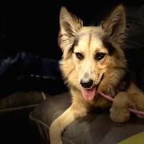 Thumbnail photo of Marsha #1