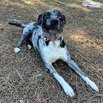 Thumbnail photo of Nicca #3